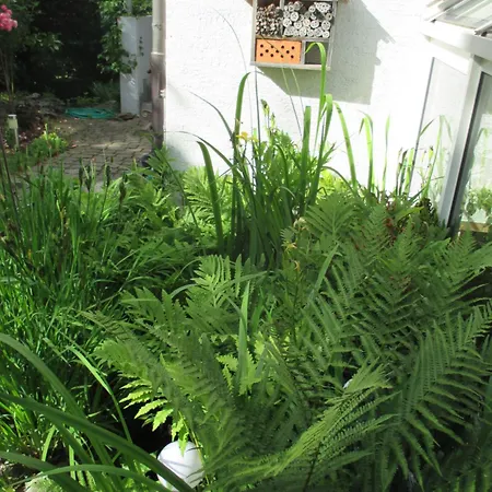 In Der Spielestadt Ravensburg