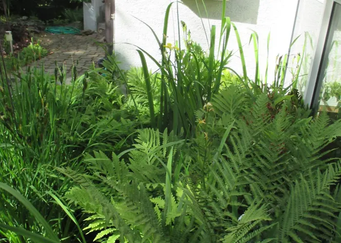 In Der Spielestadt Ravensburg